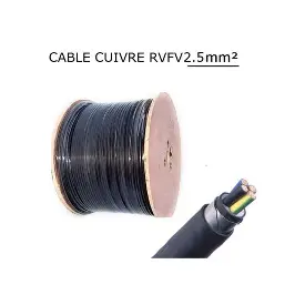 Câble armé RVFV-K 4G4 mm² 0,6/1 kV - Top Cable