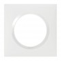 Cover plate 1 gang, white, Dooxie range - Legrand