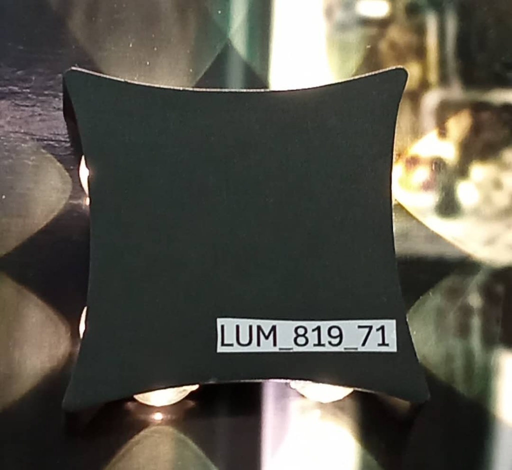 Applique décorative 819-71