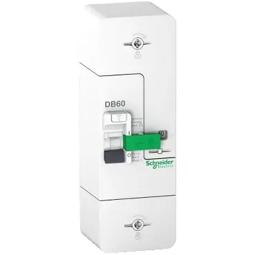 Disjoncteur de branchement DB60 1P+N 60A 500mA - Schneider