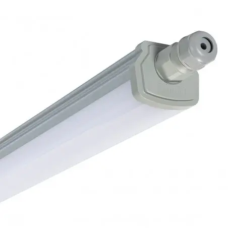 [PH 911401862785 WT068C] Waterproof batten 120 cm 36W 6500K - Philips