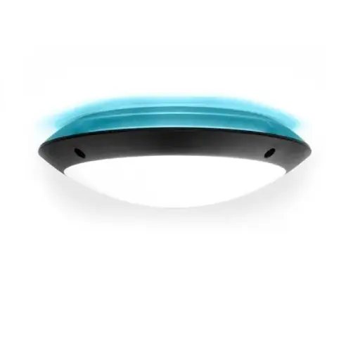 [FU 1R3.000.AYE27BU] Outdoor wall light Lucia black, opal diffuser, E27, blue backlight - Fumagalli